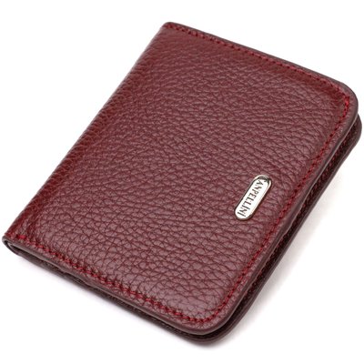 Ідеальний жіночий гаманець невеликого розміру з натуральної шкіри CANPELLINI 21802 Бордовий 21802 фото