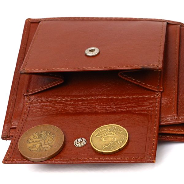 Чоловічий гаманець без застібки горизонтального формату з натуральної гладкої шкіри CANPELLINI 21762 Коричневий 21762 фото